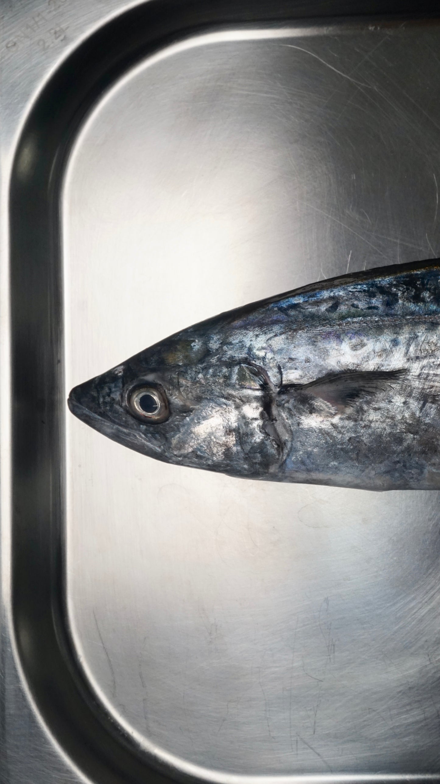 Ikan Tenggiri Papan Steak cut