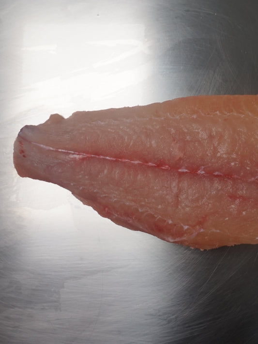 Fillet Ikan Manyung - Giant Sea Catfish