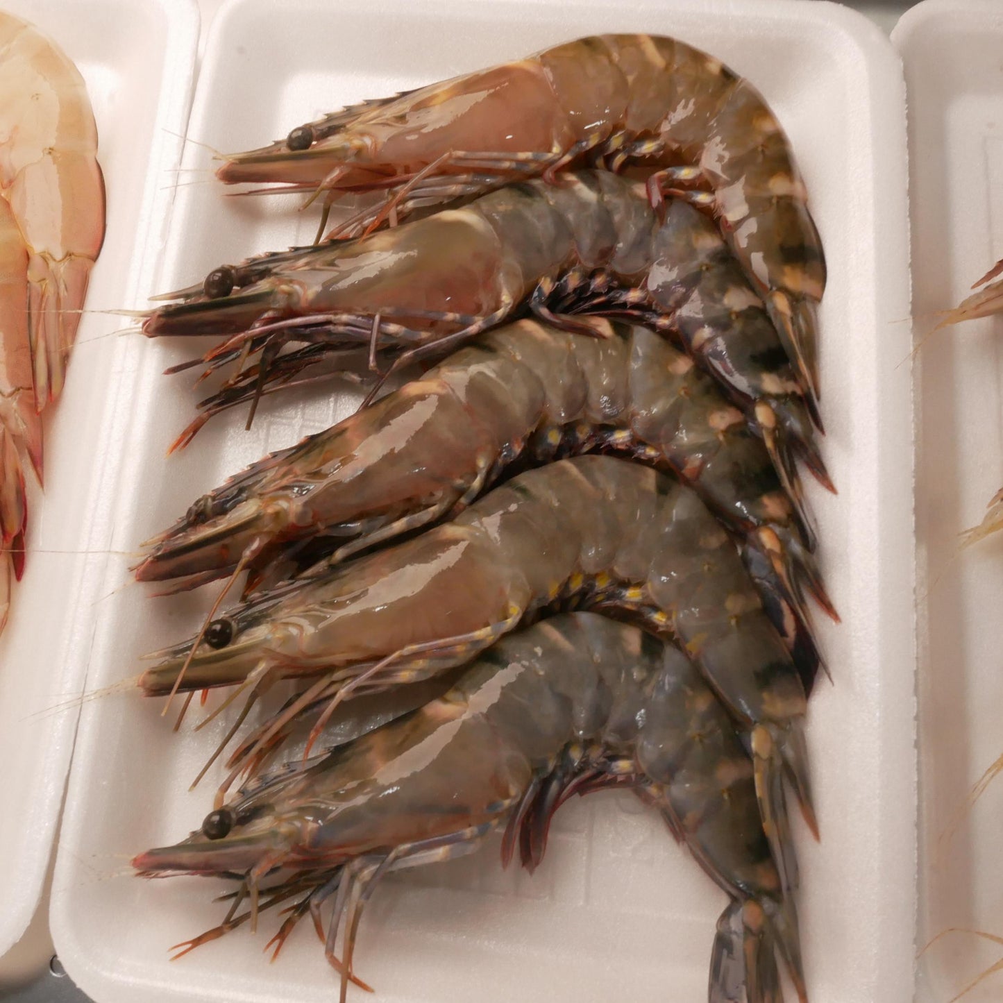 Udang Windu L