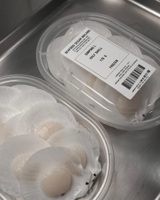 Kerang Simping Half shell