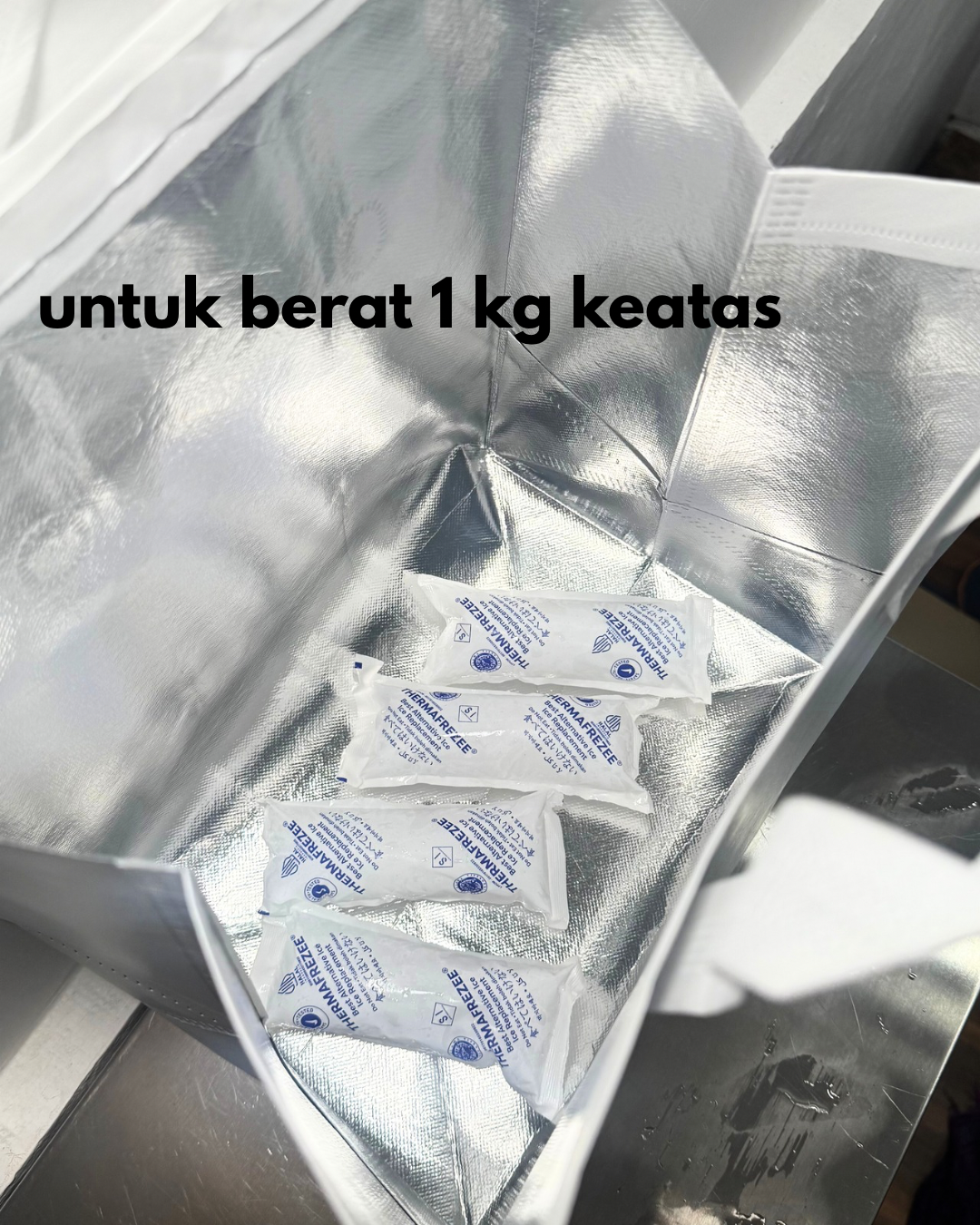 (Recomended for Instant Courier) – Large Thermal Bag + 2 Ice Gel