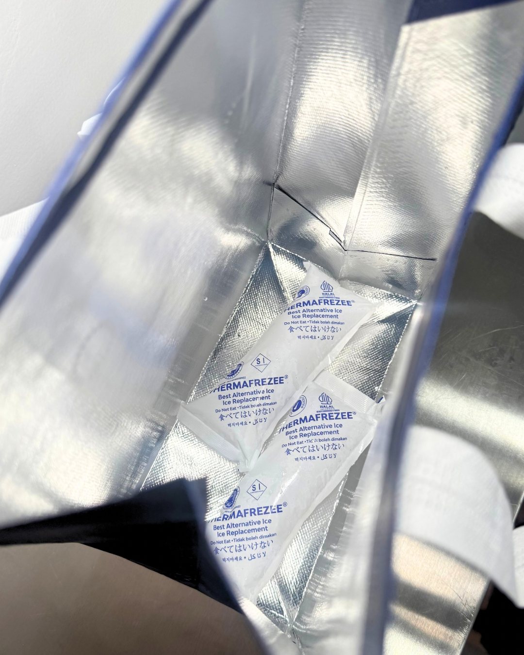 Recomended For Instant Courier – Medium Thermal Bag + 2 Ice Gel