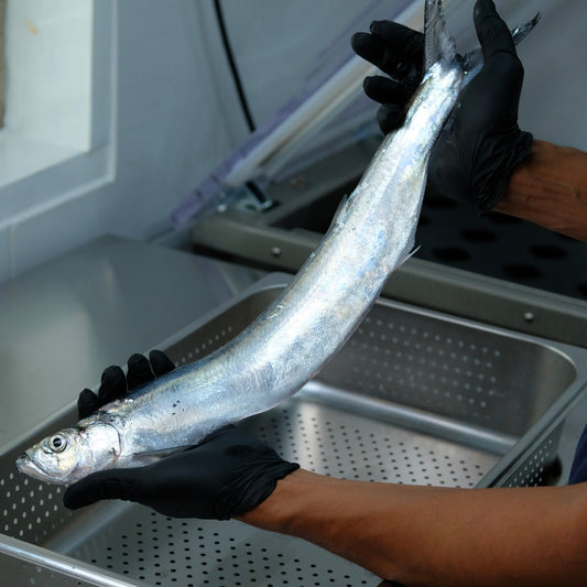 Parang (Wolf Herring) Half cut