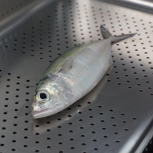 Fillet Ikan Kembung Banjar