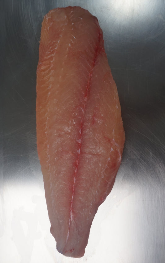 Fillet Ikan Manyung - Giant Sea Catfish