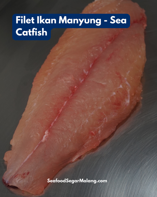 Fillet Ikan Manyung - Giant Sea Catfish