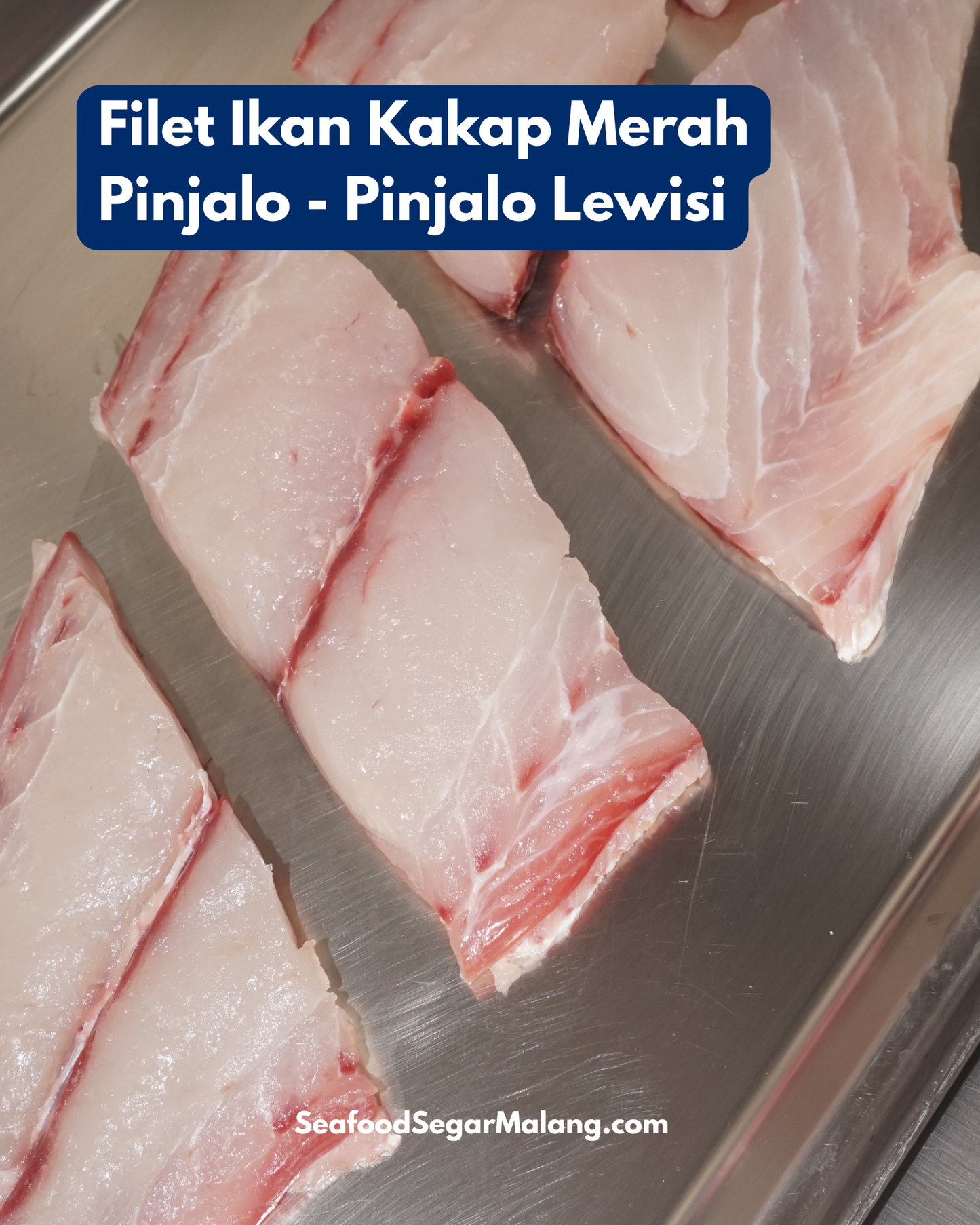 Fillet Kakap Merah Pinjalo