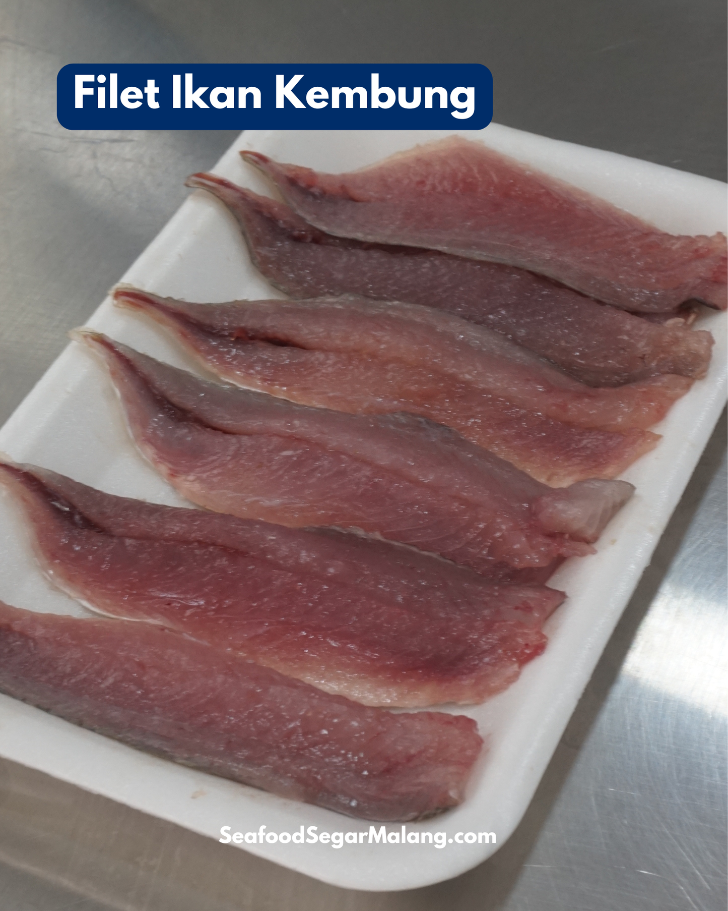 Fillet Ikan Kembung