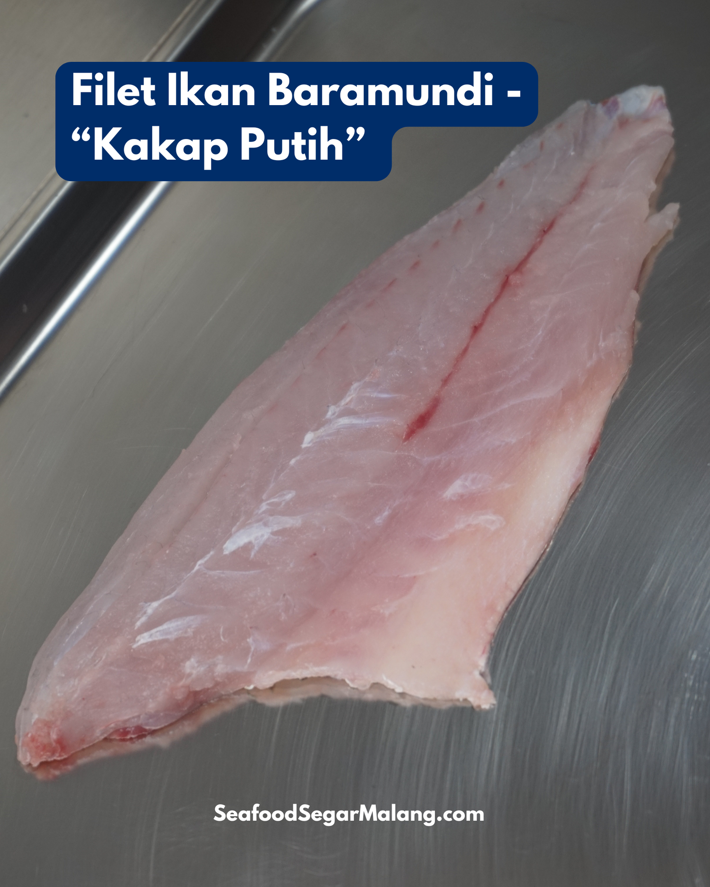 Fillet Ikan Kakap Putih Baramundi