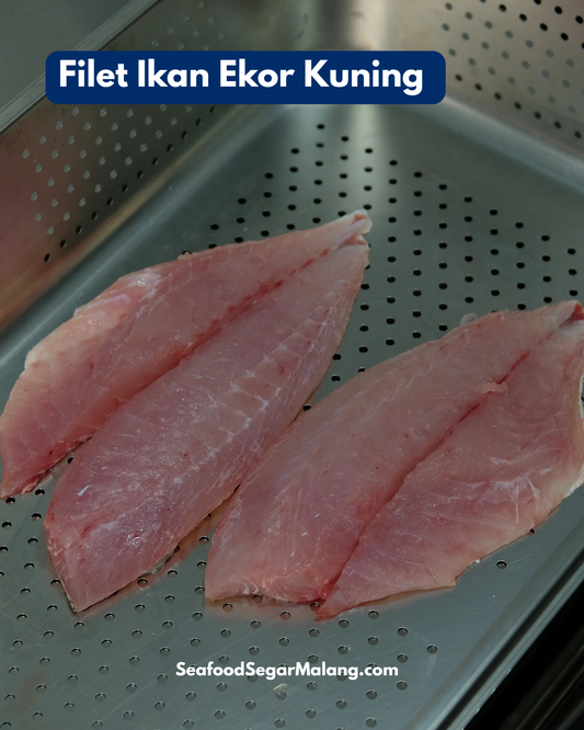 Fillet Ikan Ekor Kuning
