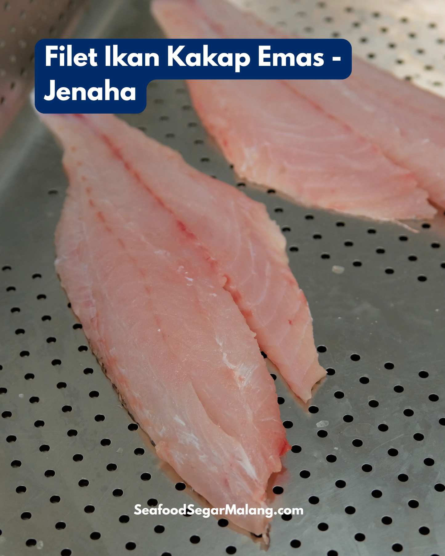 Fillet Ikan Kakap Emas - Jenaha