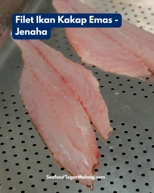 Fillet Ikan Kakap Emas - Jenaha