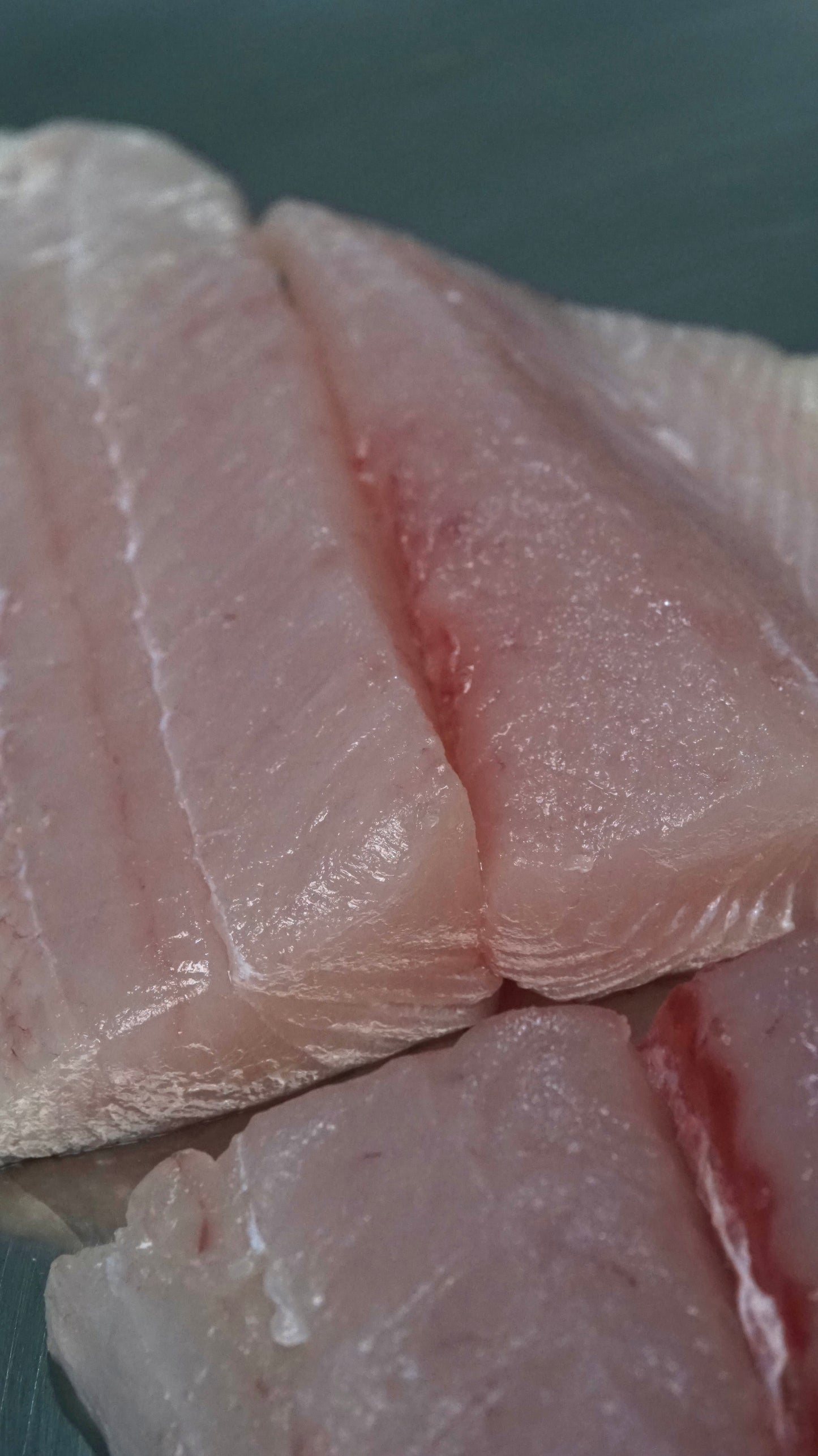 Tenggiri Papan Fillet