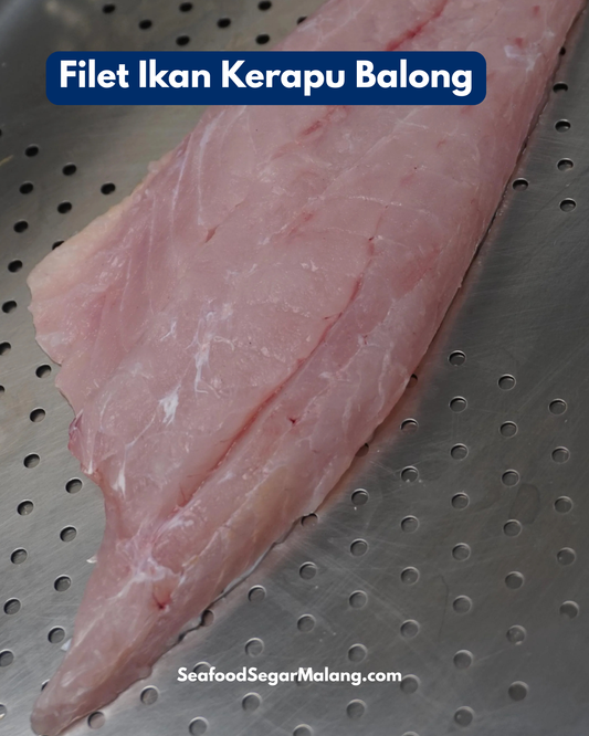 Kerapu Balong fillet