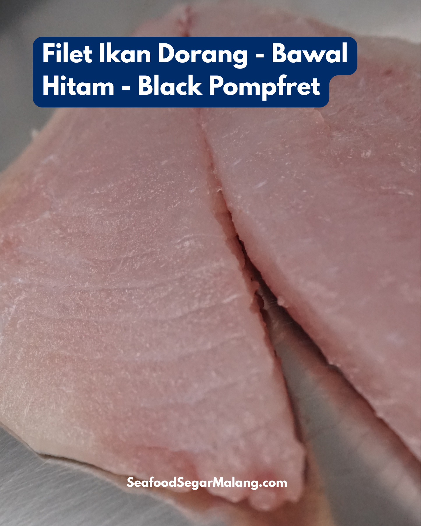 Filet Ikan Dorang - Bawal Hitam