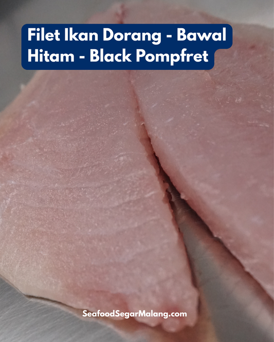 Filet Ikan Dorang - Bawal Hitam