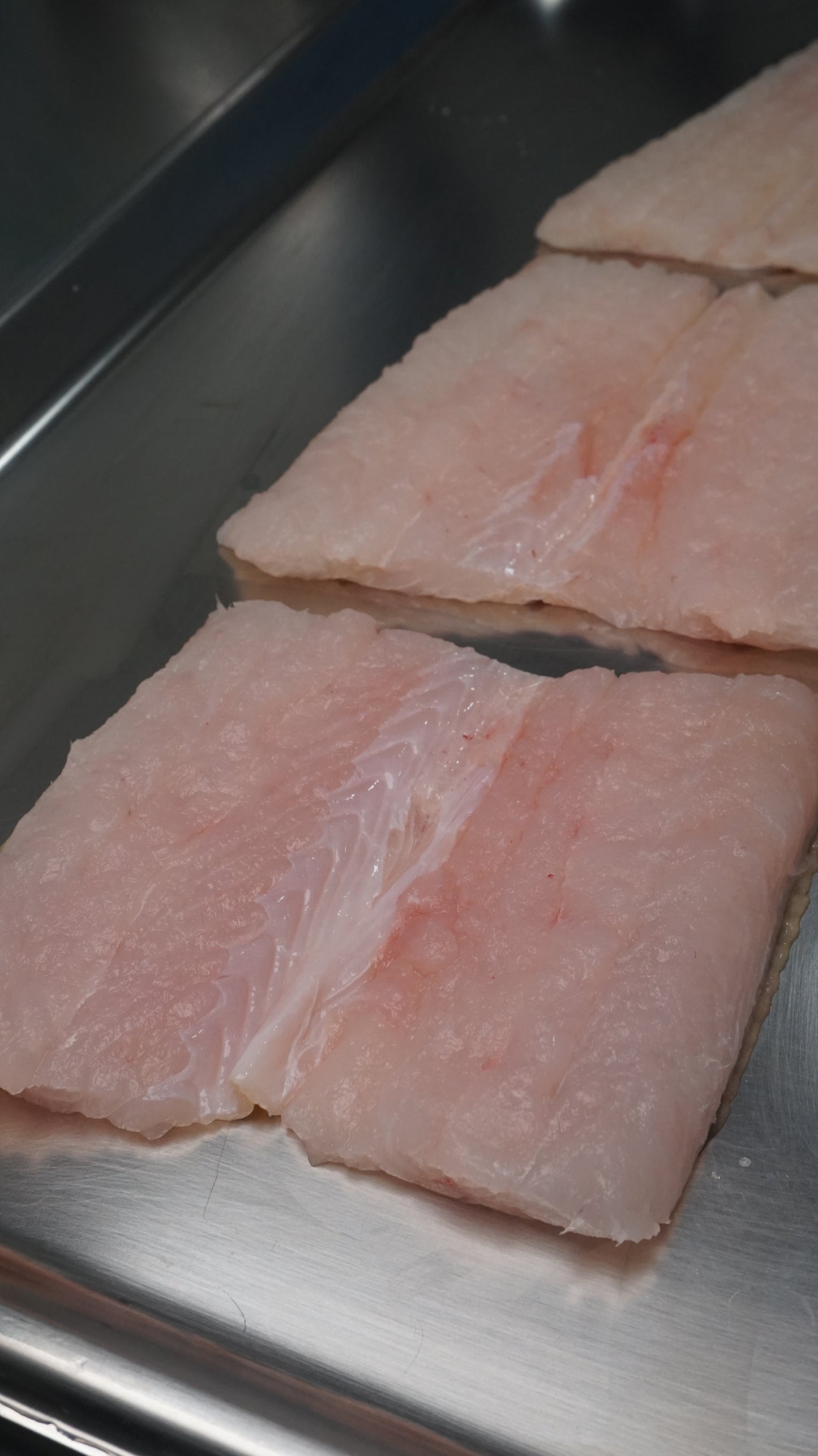 Fillet Ikan Sidat - Duri Masih ada, mohon cek di foto bagian yang ada durinya