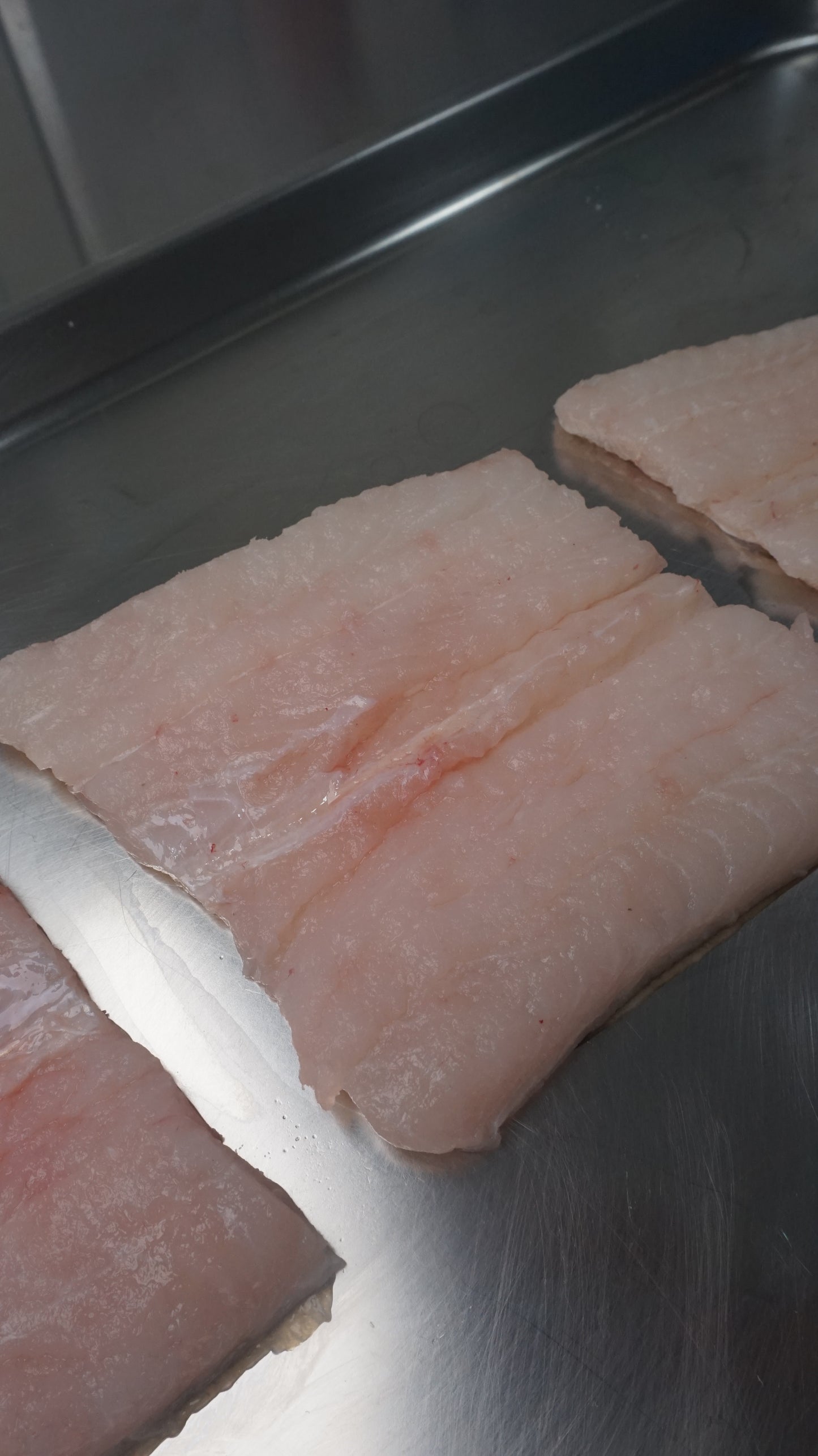 Fillet Ikan Sidat - Duri Masih ada, mohon cek di foto bagian yang ada durinya