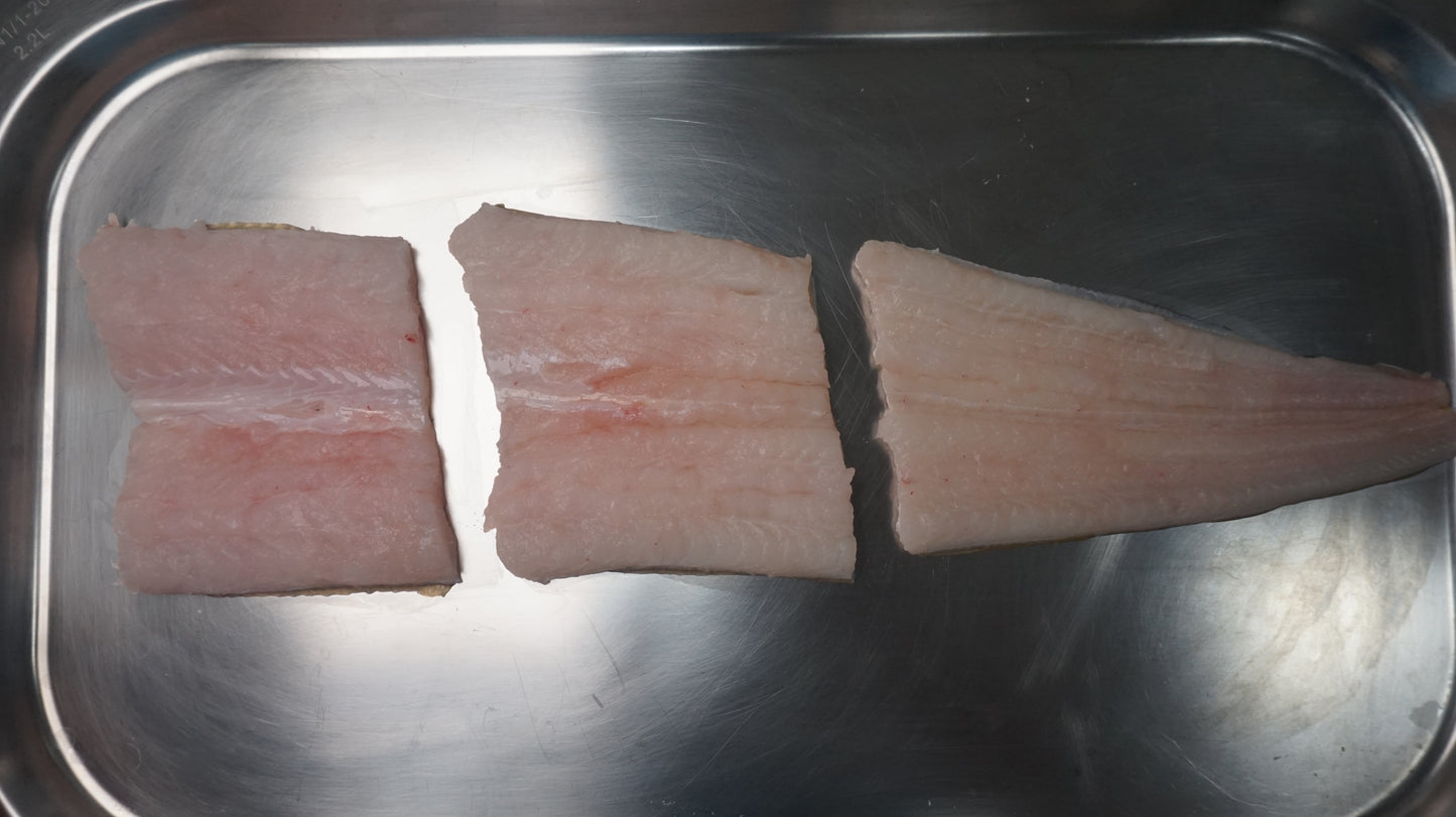 Fillet Ikan Sidat - Duri Masih ada, mohon cek di foto bagian yang ada durinya