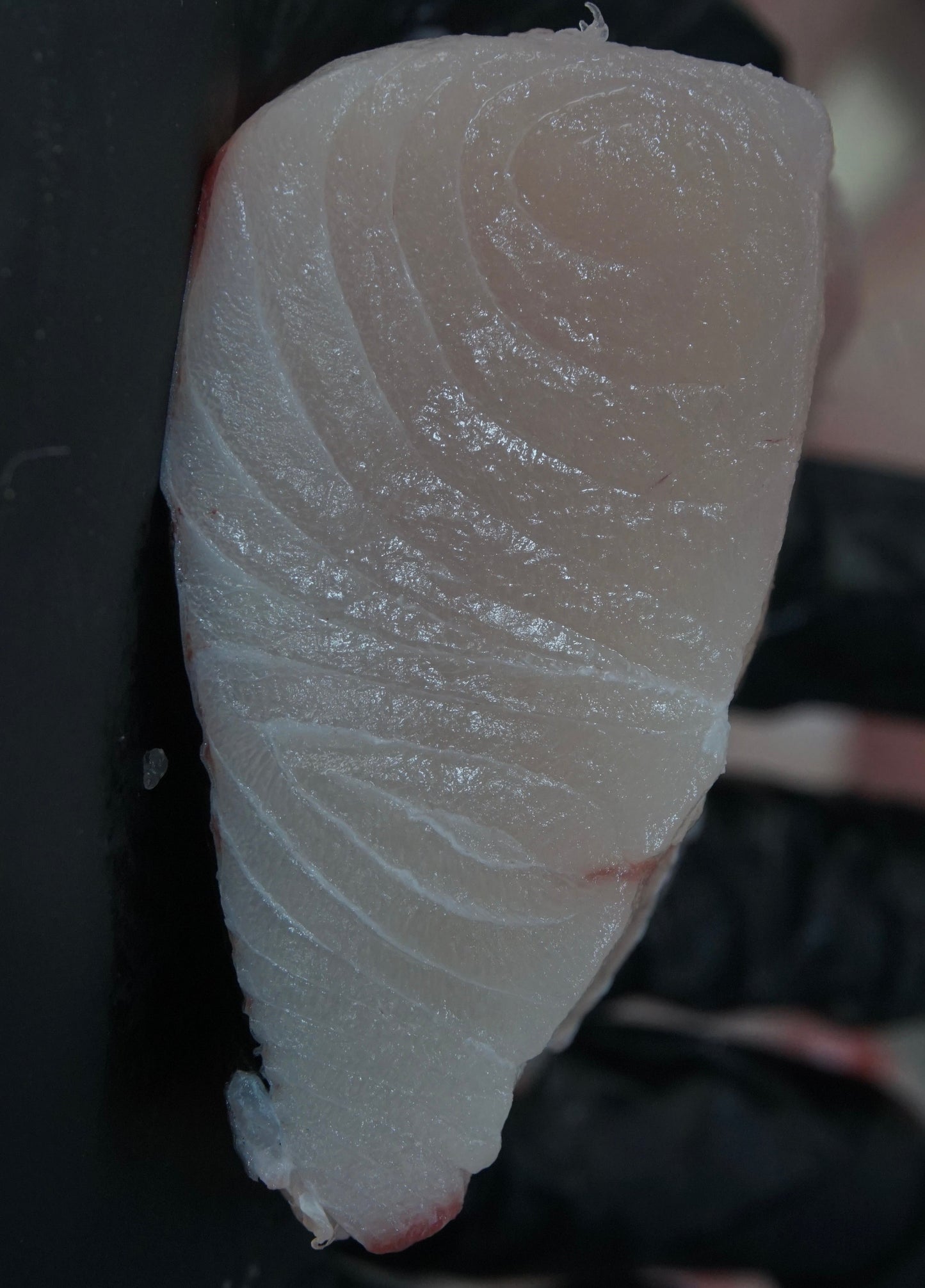 Fillet Ikan Tenggiri