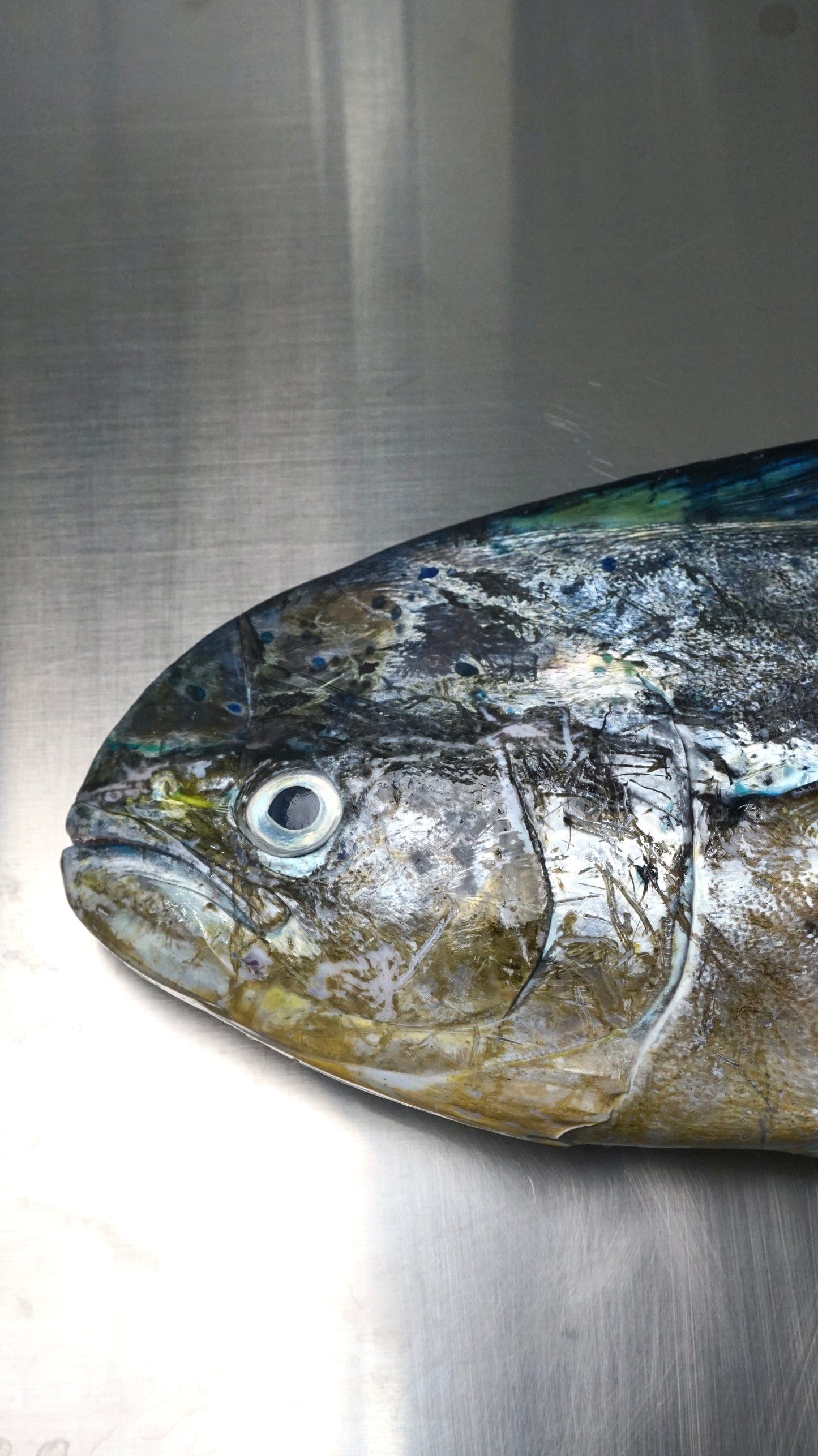 Fillet Ikan Mahi Mahi Tanpa Kulit - Lemadang