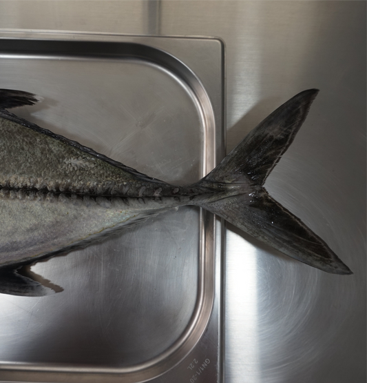 Big Eyed Trevaly ( Kuwe Mata Belo) skin off fillet