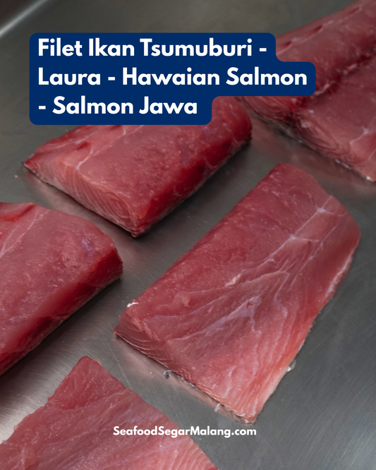 Fillet Ikan Laura / Tsumuburi / Rainbow Runner / Salmon Jawa