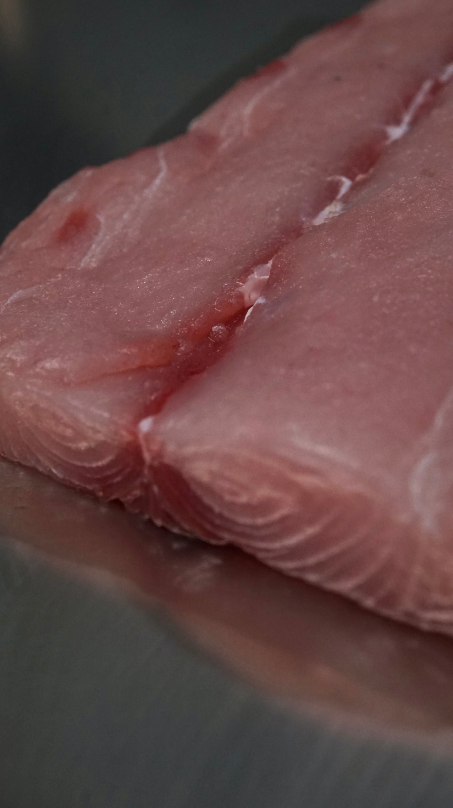 Fillet Ikan Mahi Mahi Tanpa Kulit - Lemadang