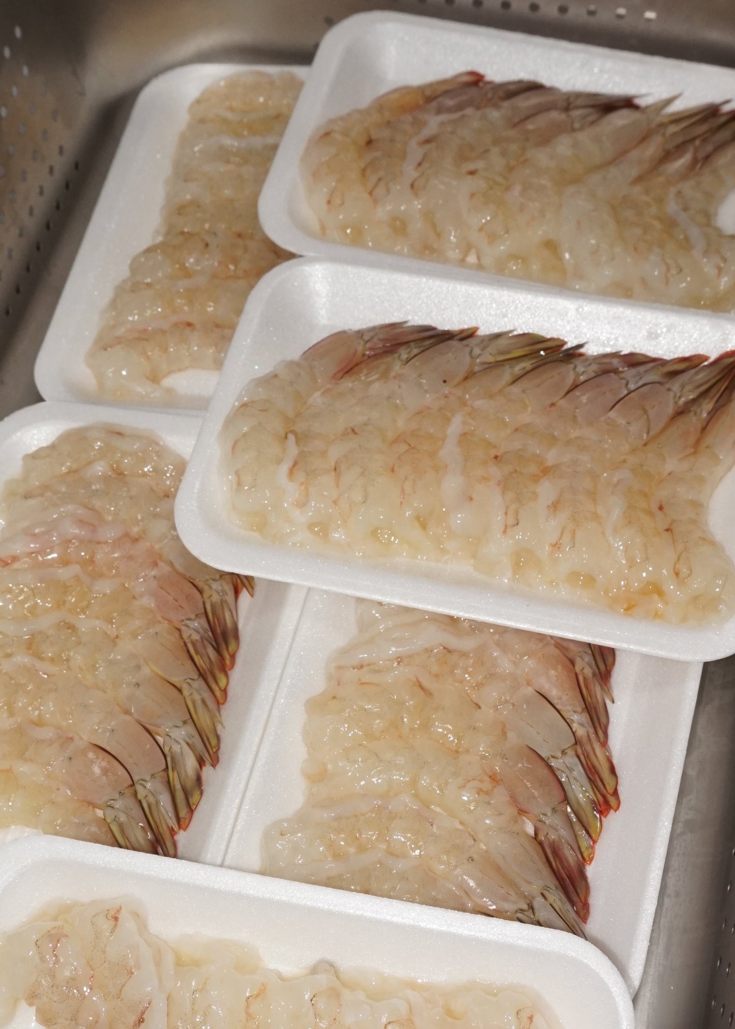 Udang Jerbung Kecil ( S )