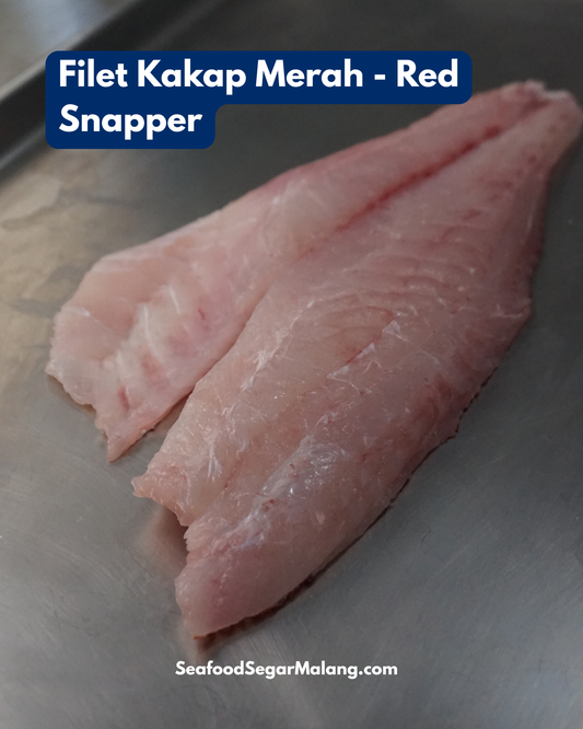 Fillet Ikan Kakap Merah