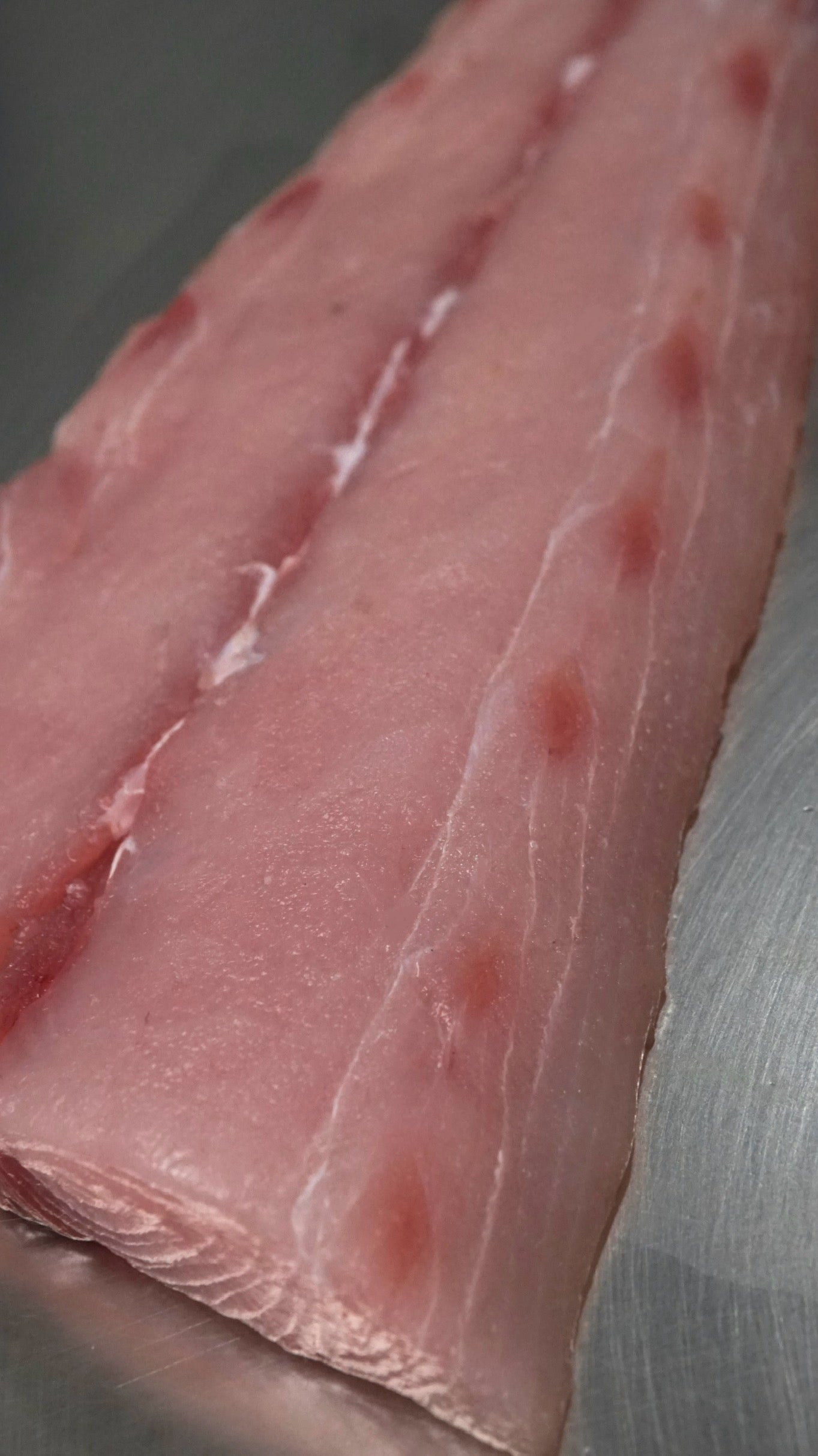 Fillet Ikan Mahi Mahi Tanpa Kulit - Lemadang