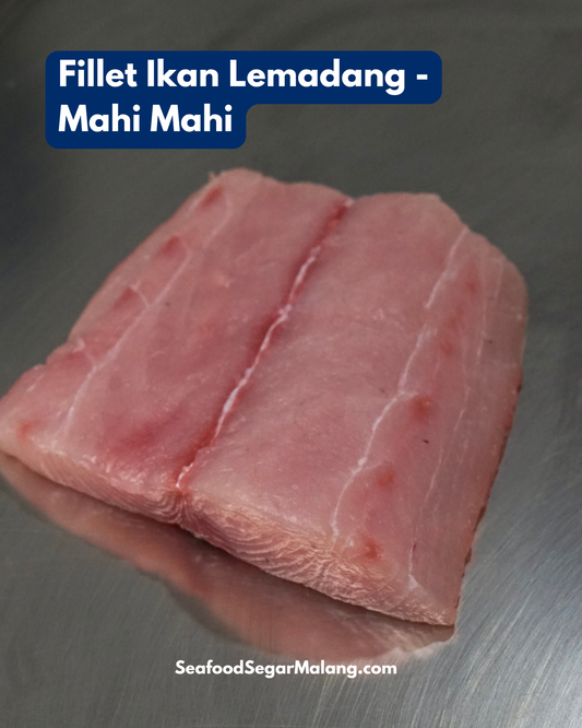 Fillet Ikan Mahi Mahi Tanpa Kulit - Lemadang