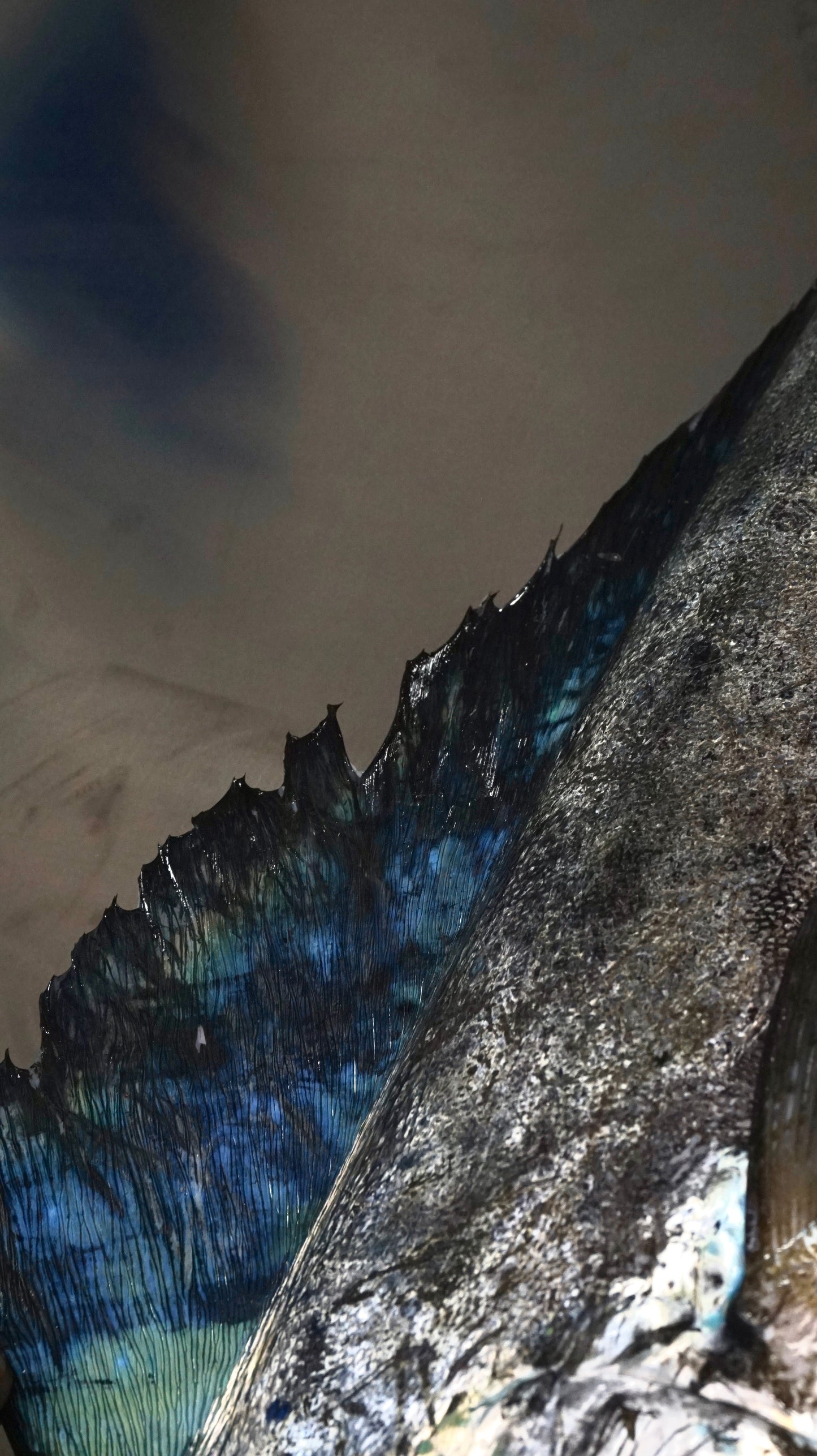 Fillet Ikan Mahi Mahi Tanpa Kulit - Lemadang