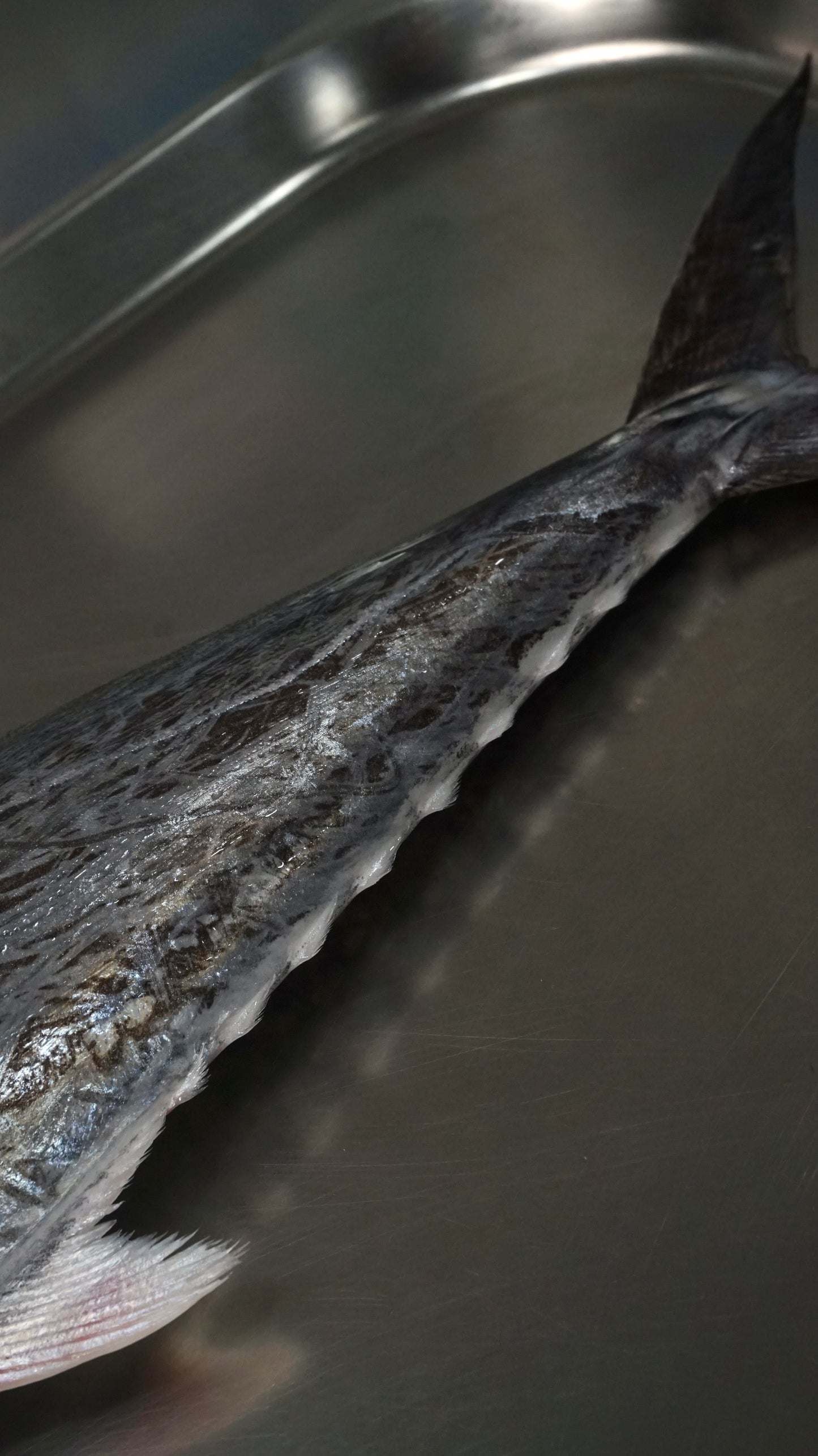 Tenggiri Papan Fillet