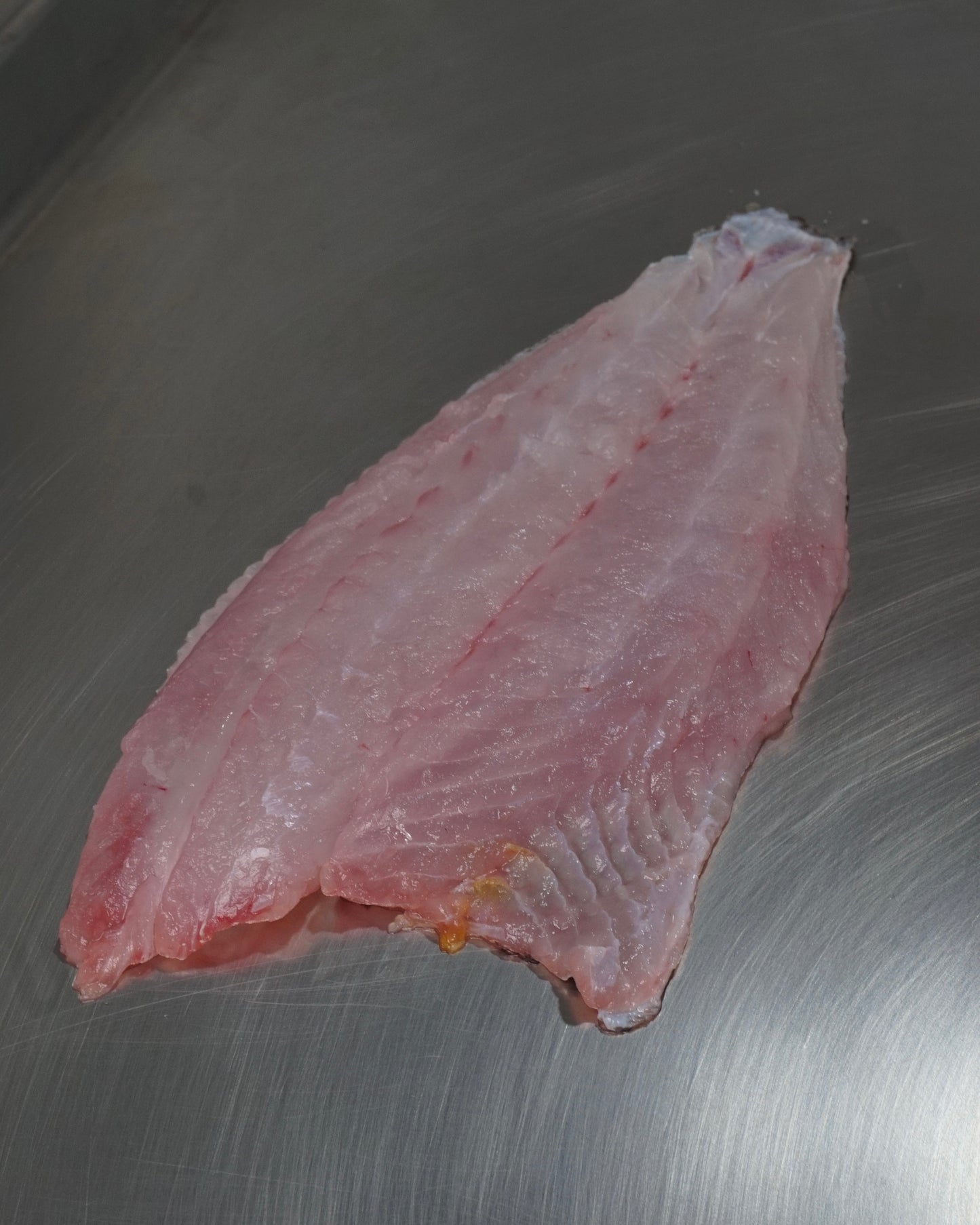 Fillet Halibut Tropis - Ikan Mata Sebelah