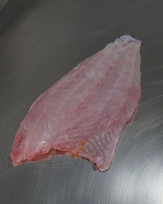 Fillet Halibut Tropis - Ikan Mata Sebelah