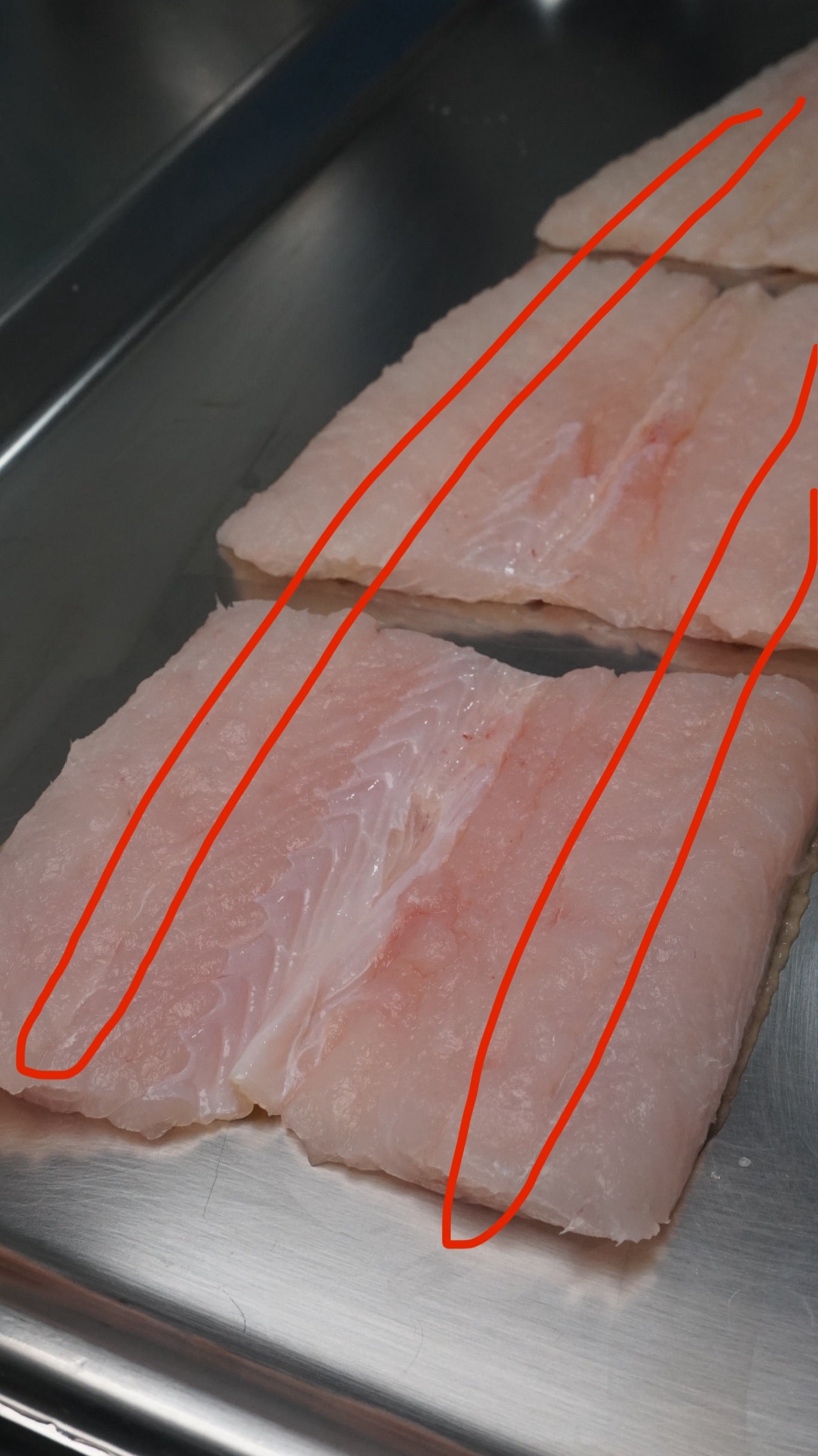 Fillet Ikan Sidat - Duri Masih ada, mohon cek di foto bagian yang ada durinya