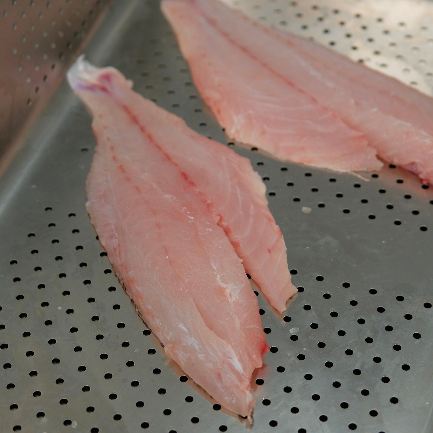 Kakap Jenaha (Golden snapper)  Fillet