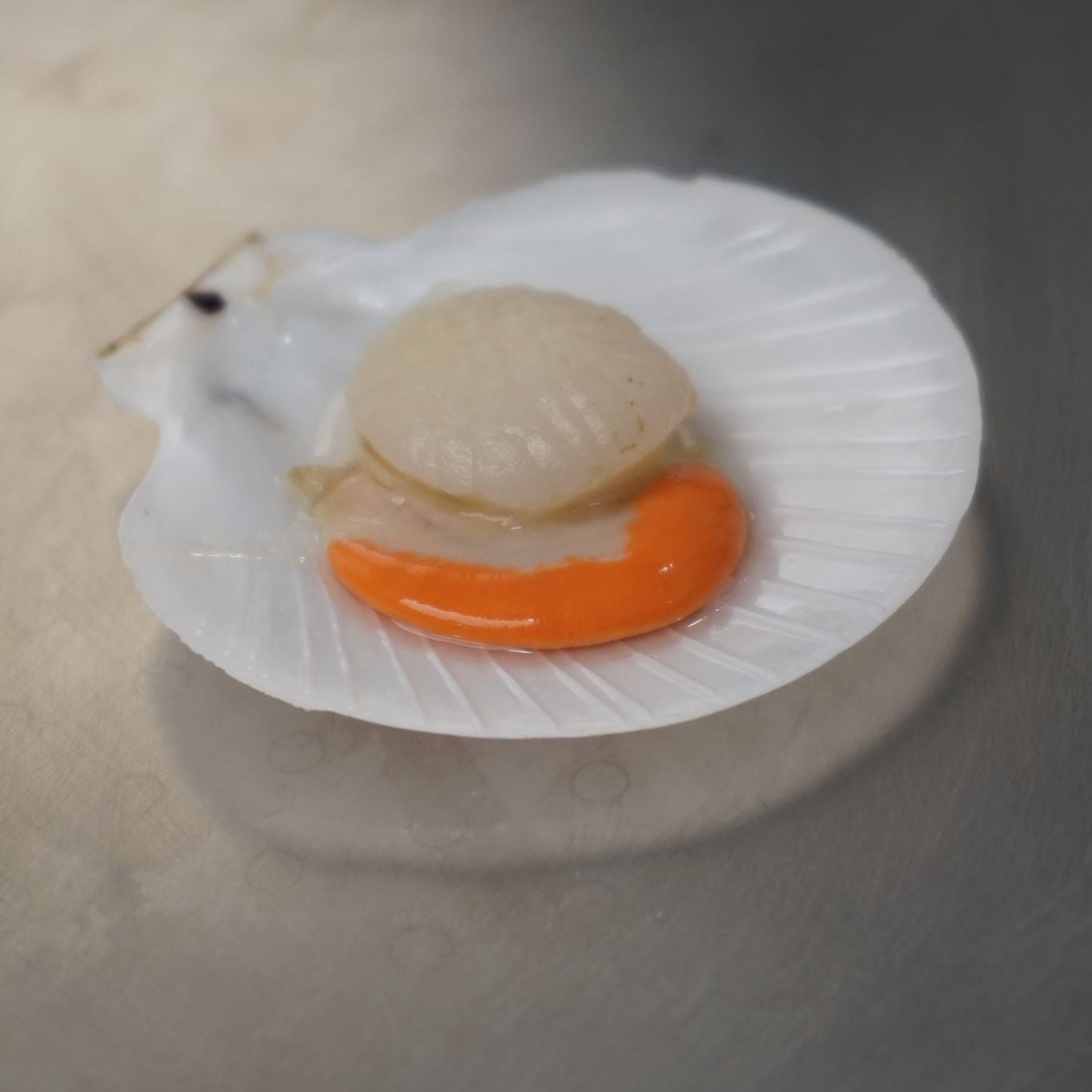 Kerang Simping Kupas w/Telur