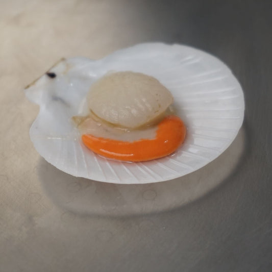 Kerang Simping Kupas w/Telur